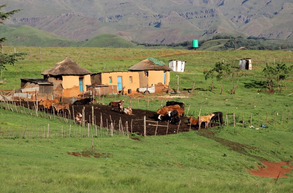 Landscapes Heal When People Belong to Them