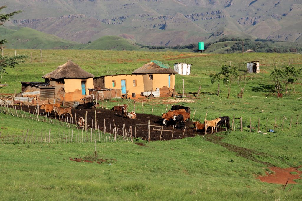 Landscapes Heal When People Belong to Them